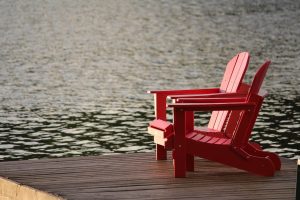 Dr Elanie Weich Services Background